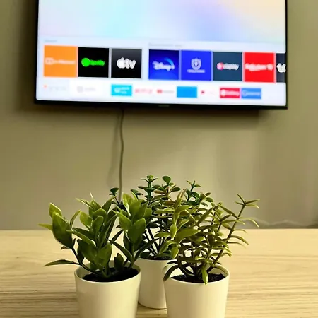 Апартаменты Modern & Cosy Center Flat *